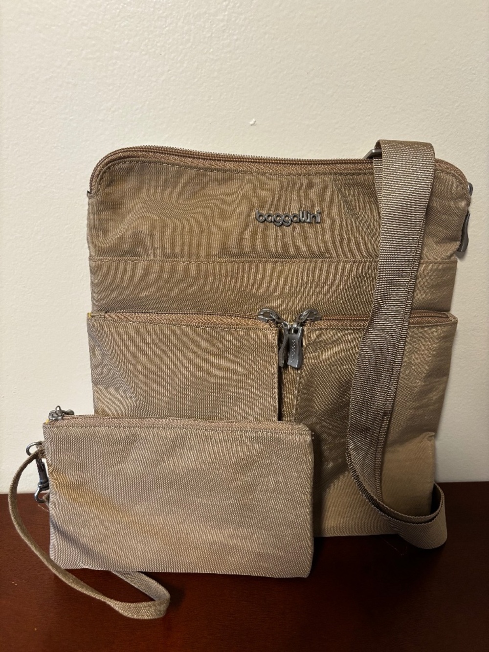 Baggallini Horizon Crossbody Bag